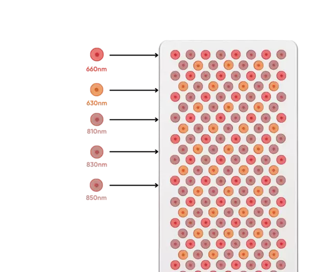 Painel de Luz Vermelha - Infraredi Max