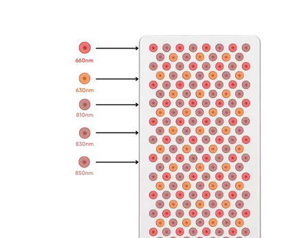 Painel de Luz Vermelha - Infraredi Max